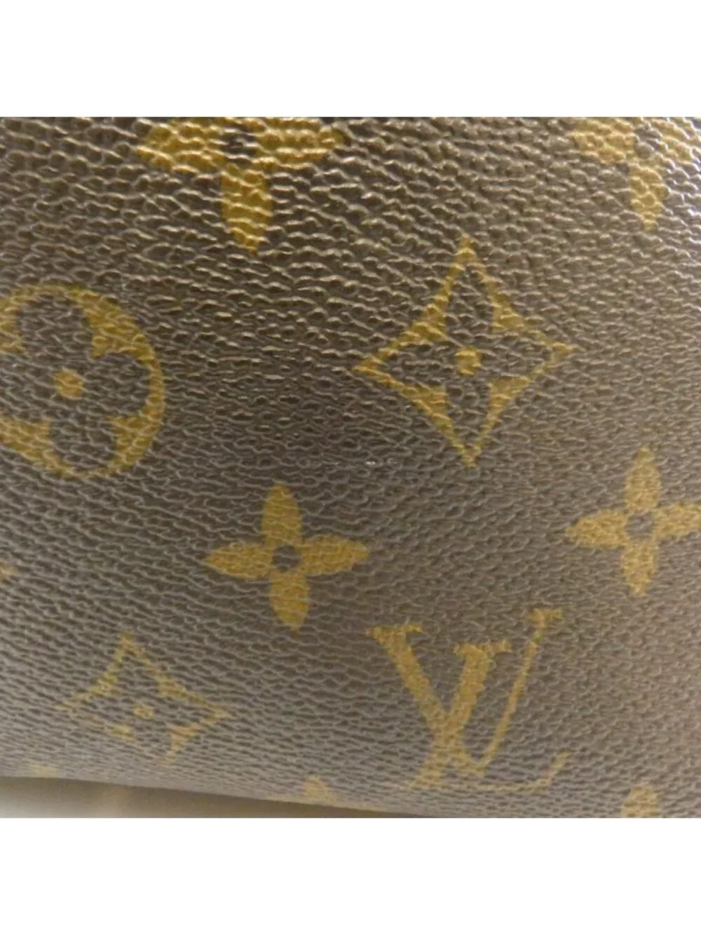 Louis Vuitton Monogram Neverfull PM Bag